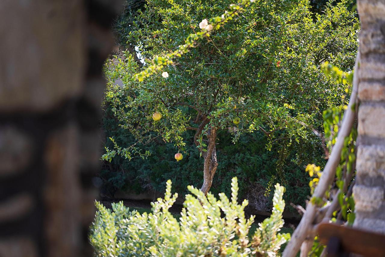 Kaly Solana Agia Anna (Naxos) ภายนอก รูปภาพ